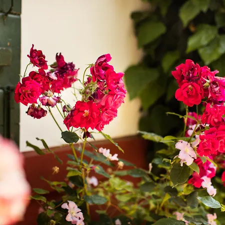 Residenza D'epoca Quattro Fontane 4*