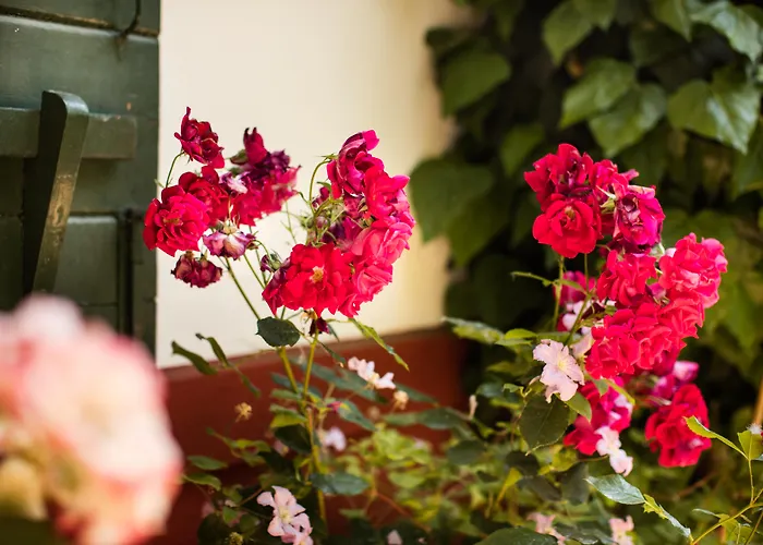 Residenza D'epoca Quattro Fontane 4*